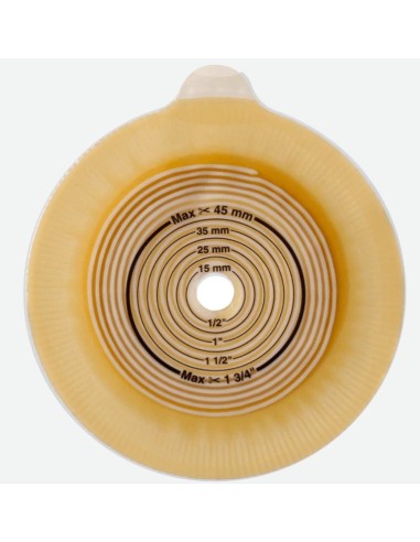 Placca Convessa Trasparente 15/35 mm Flangia 40 mm